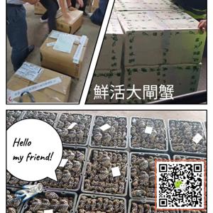 歷史海報7