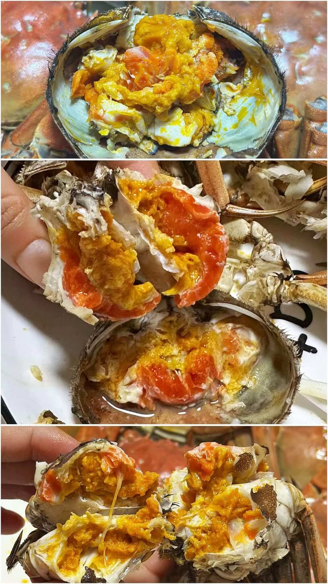 大閘蟹 #公乸自選 #單隻零售