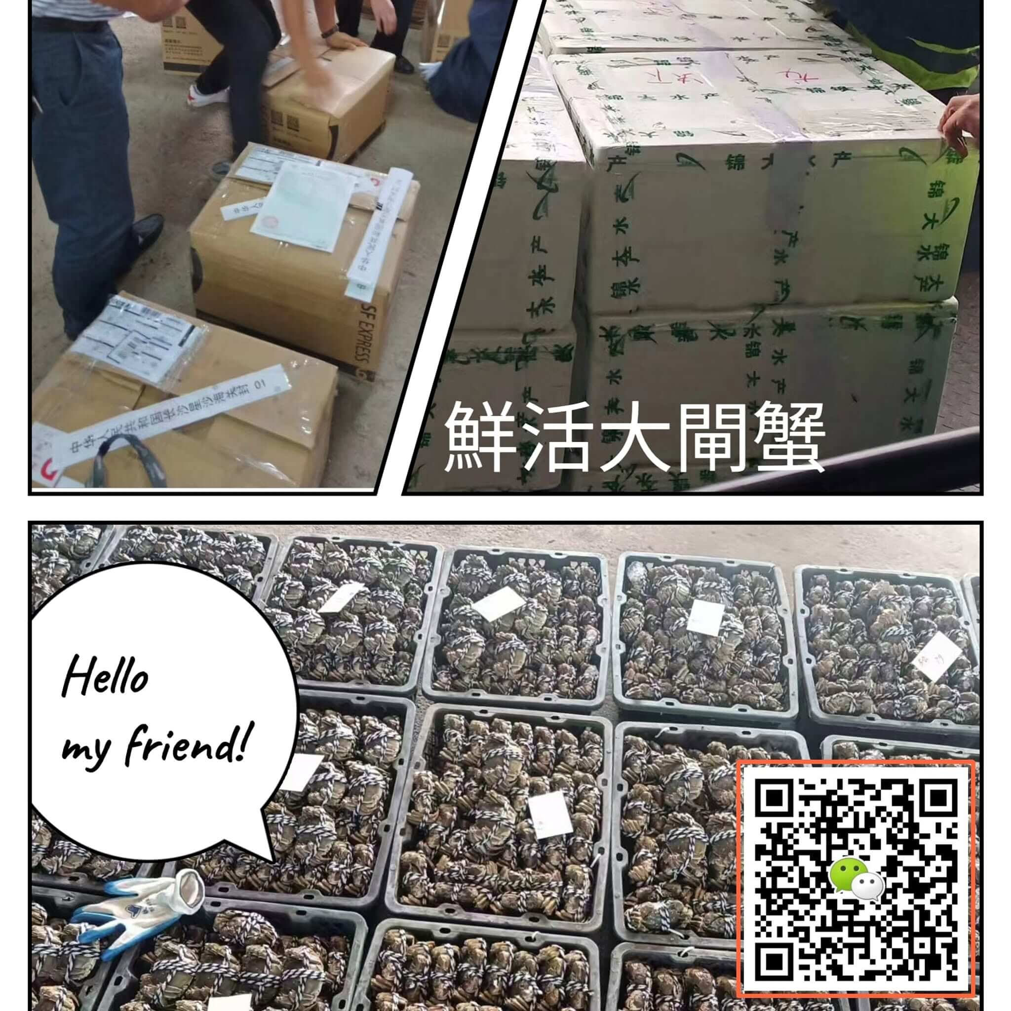 歷史海報7